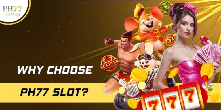 Hướng dẫn người mới bắt đầu