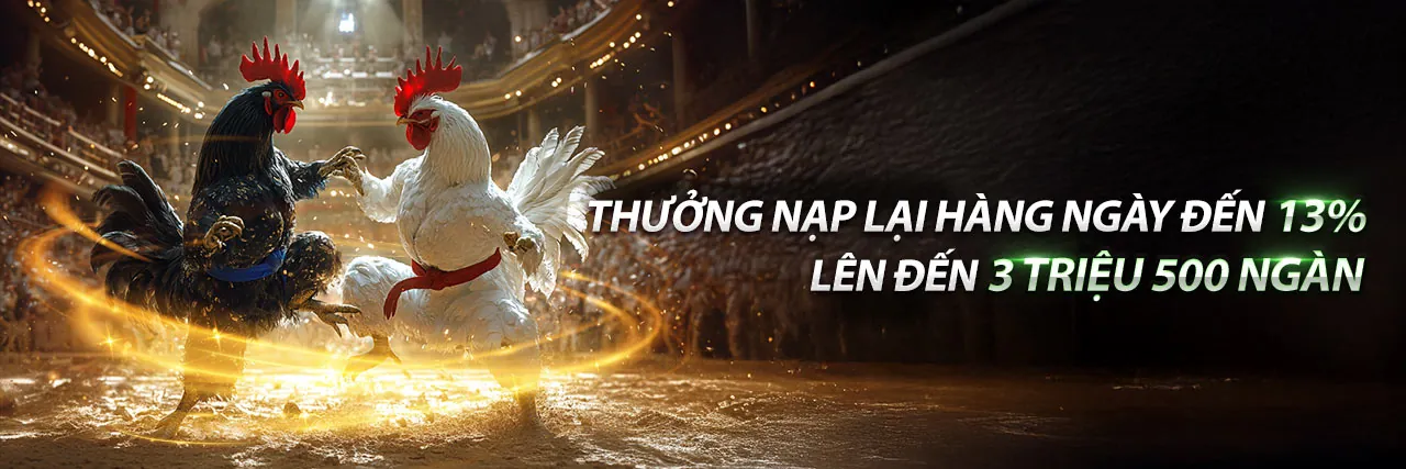 Đá gà trực tuyến Kim99 Win